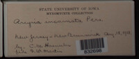 Image Associated With the Occurence
